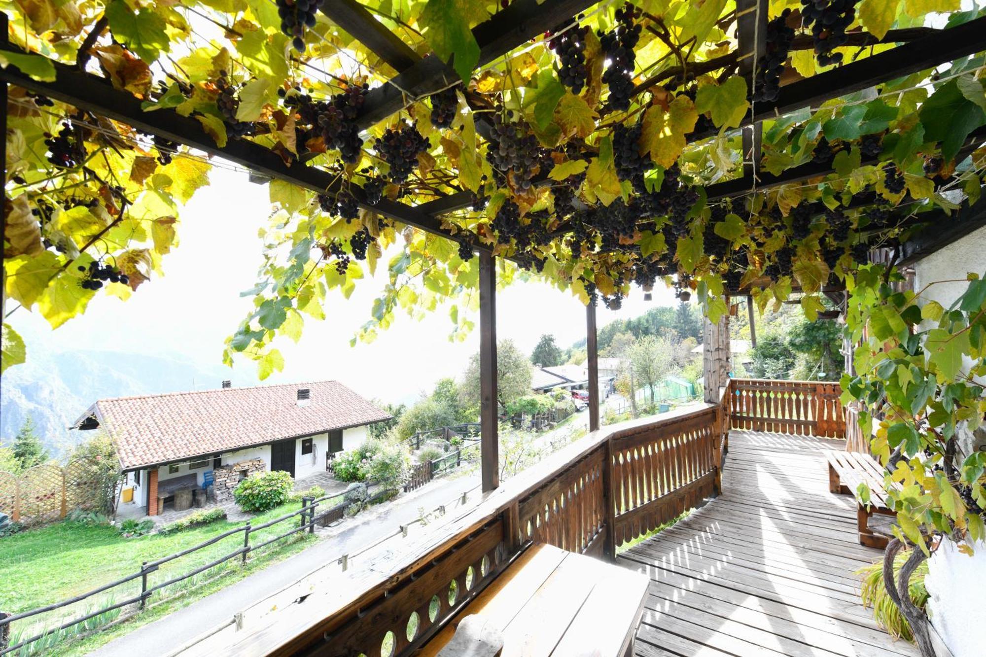 Chalet "Baita Cavacca" Crone Eksteriør bilde